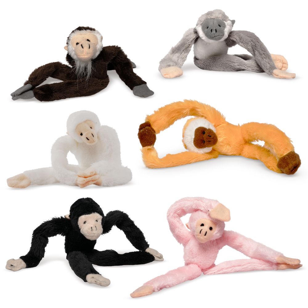 Monkey balls magnets online