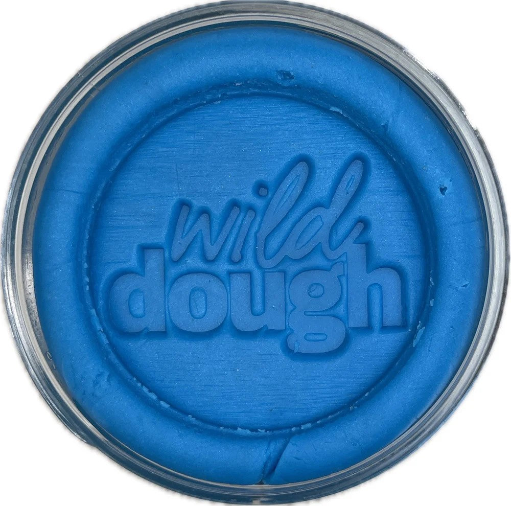 WILD DOUGH - PLAYDOUGH: PACIFIC BLUE 