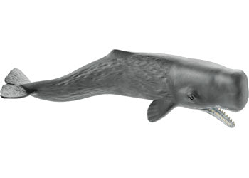 SCHLEICH - SPERM WHALE 