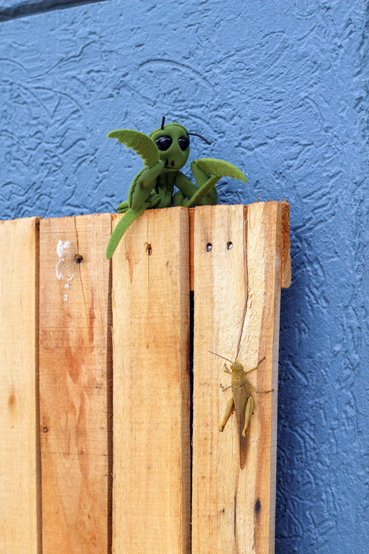 FOLKMANIS - FINGER PUPPETS: MINI PRAYING MANTIS 