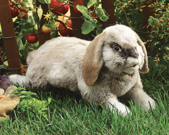 FOLKMANIS - HOLLAND LOP RABBIT PUPPET 