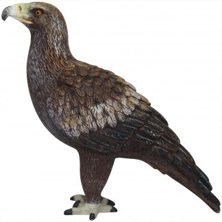 SMALL ANIMAL REPLICA - WEDGE TAILED EAGLE