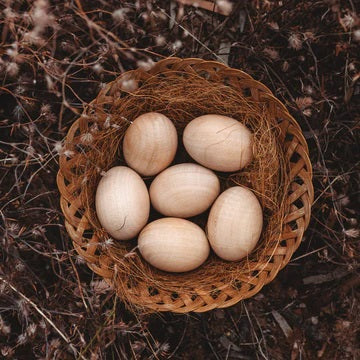 YOUR WILD BOOKS - WOODEN EGGS