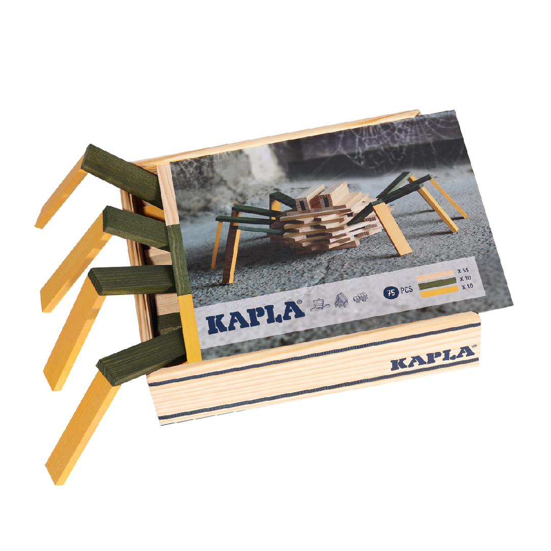 KAPLA - SPIDER CASE BUILDING PLANK SET