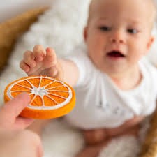 OLI & CAROL - TEETHER: CLEMENTINA THE ORANGE 