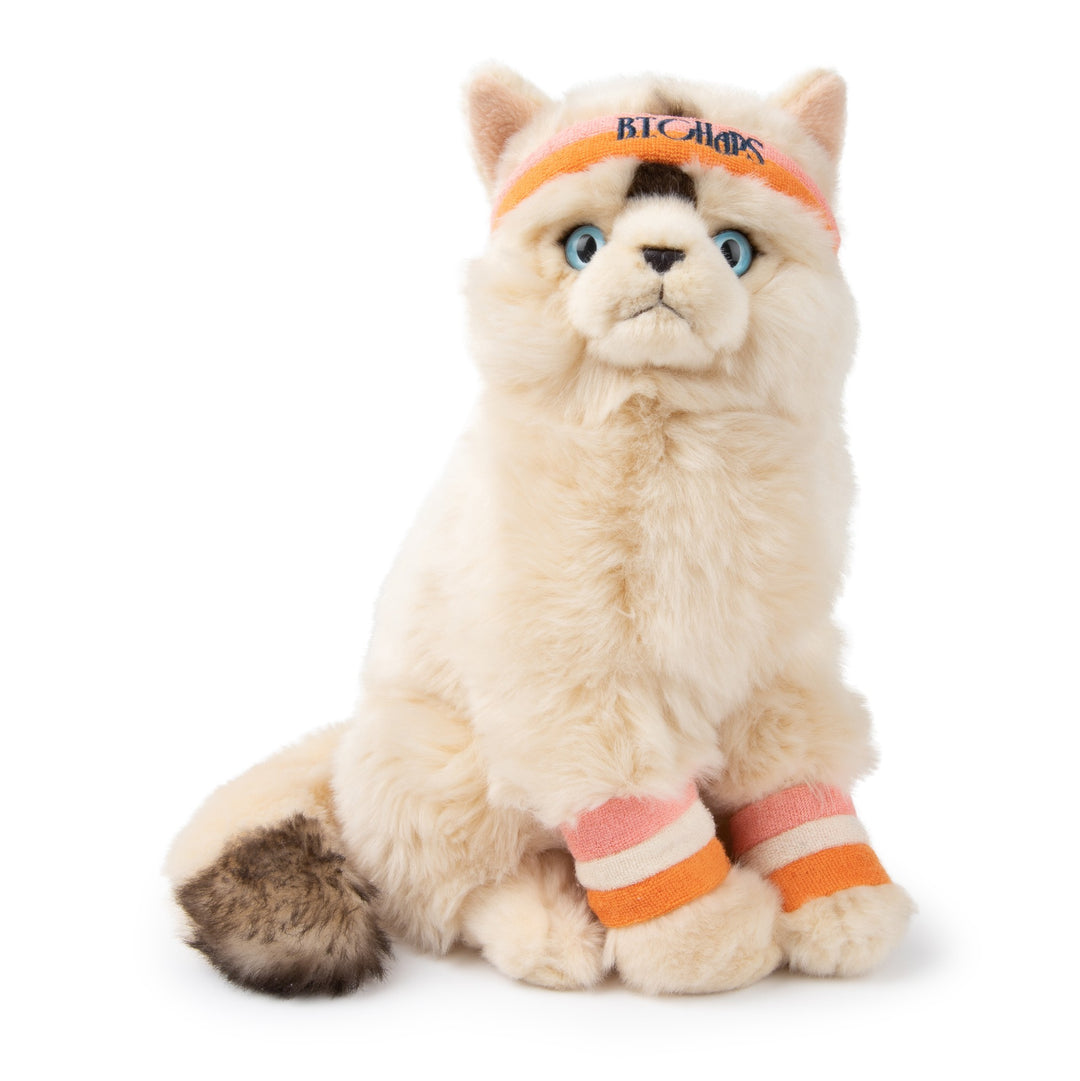 BON TON TOYS - BT CHAPS: DOLLY THE RAGDOLL 