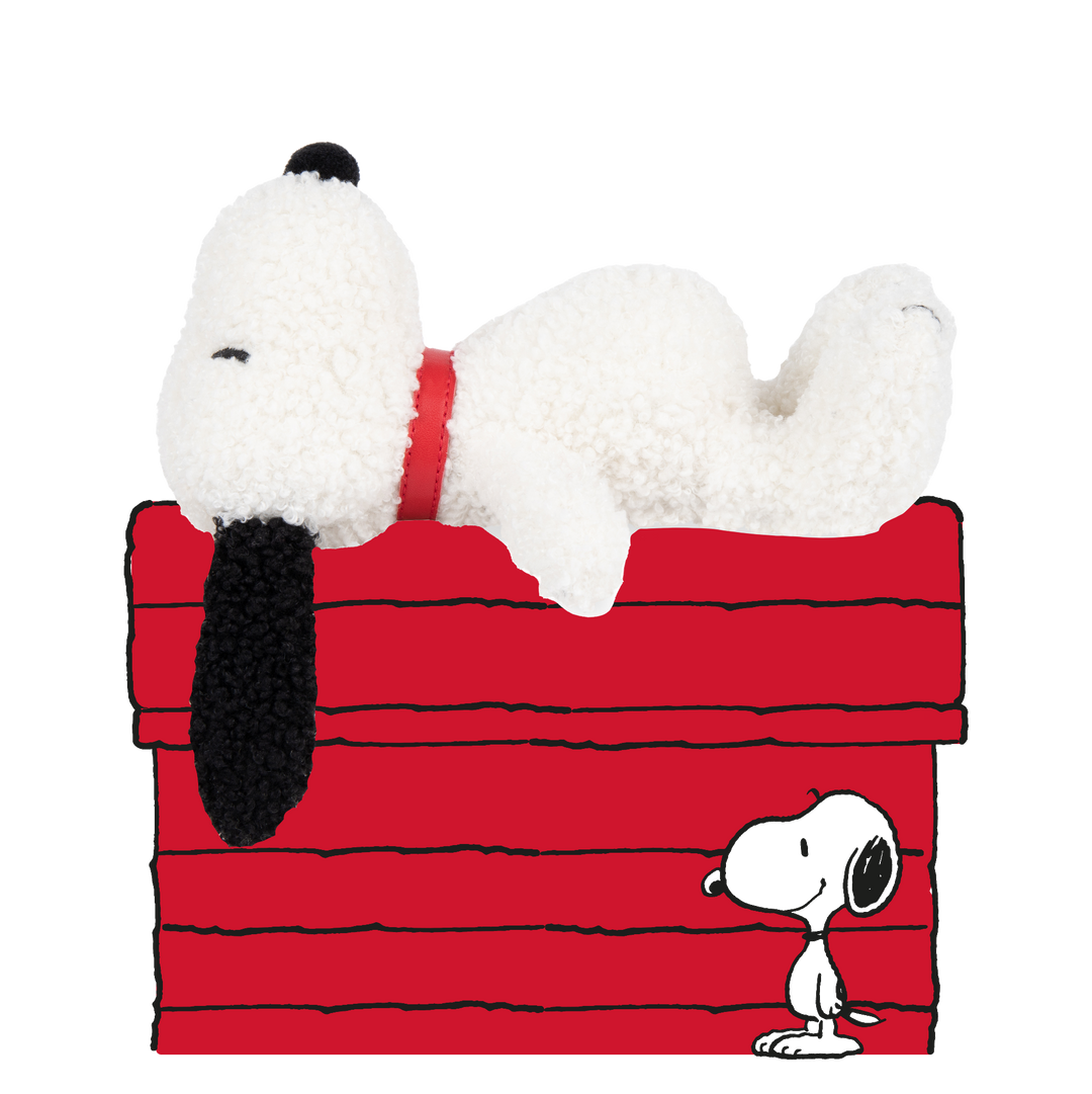 BON TON TOYS - SNOOPY TINY TEDDY IN GIFT BOX 