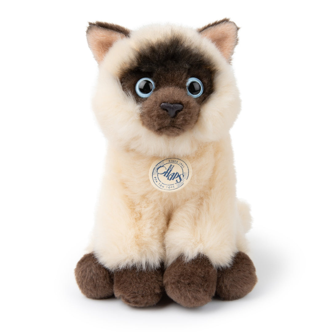 BON TON TOYS - B.T CHAPS: EDDIE THE SIAMESE IN A GIFT BOX 