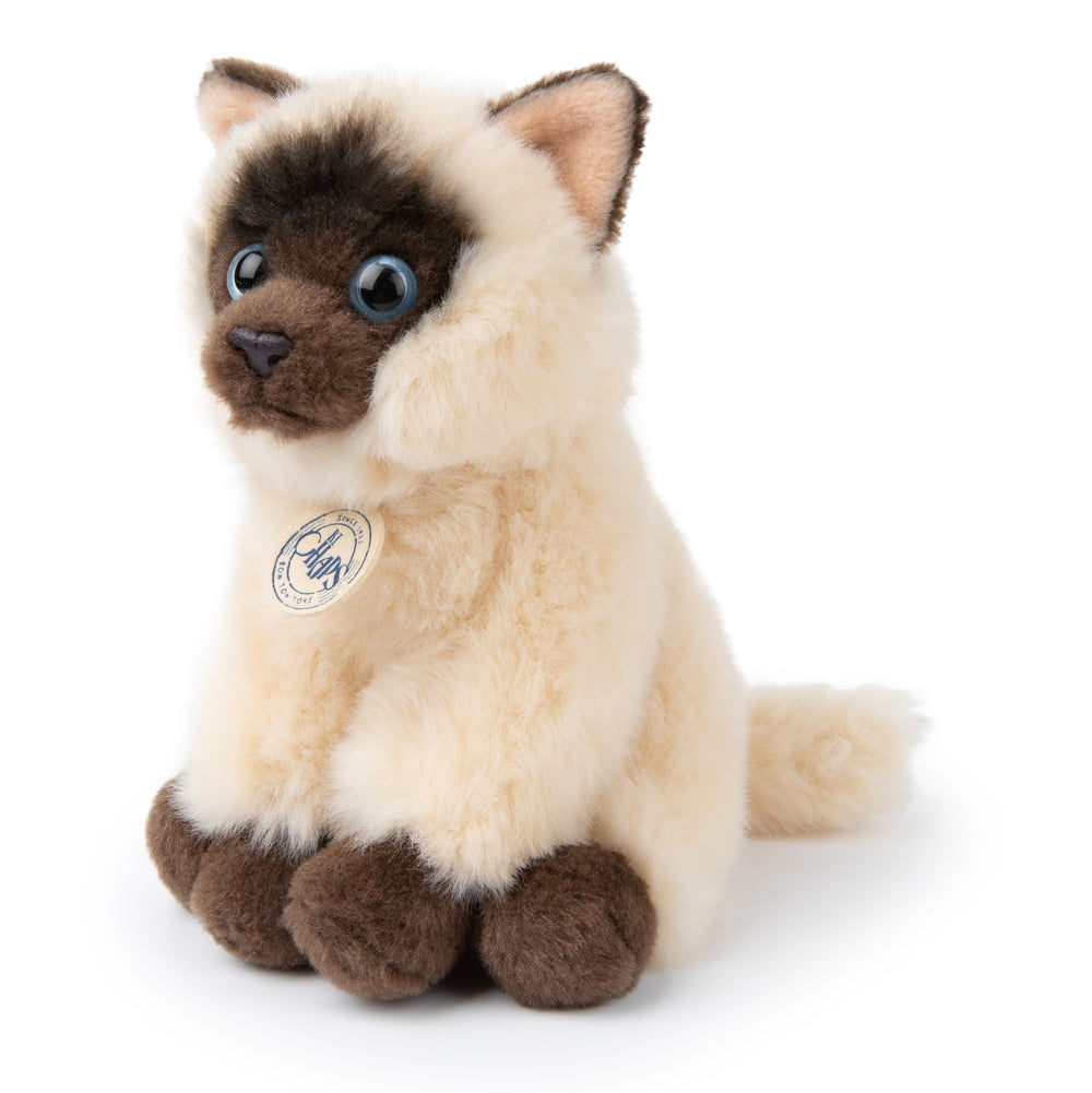 BON TON TOYS - B.T CHAPS: EDDIE THE SIAMESE IN A GIFT BOX 