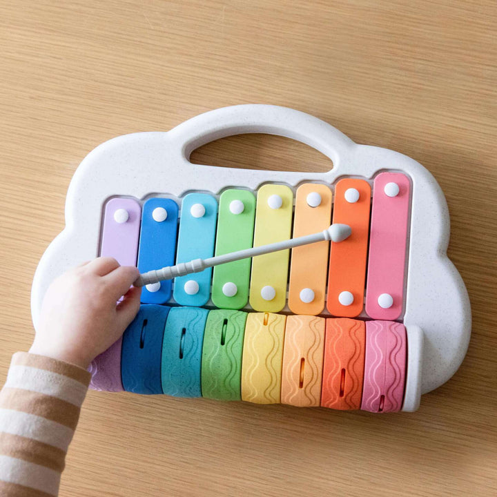 TIGER TRIBE - ECO: RAINBOW ROLLER XYLOPHONE