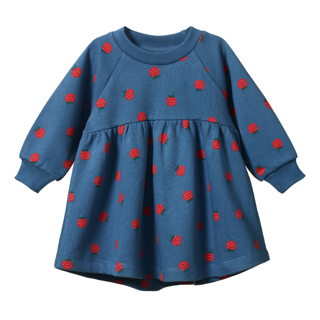 NATURE BABY - INES DRESS: RASPBERRY BLUE PRINT [sz:6-12 MTHS]