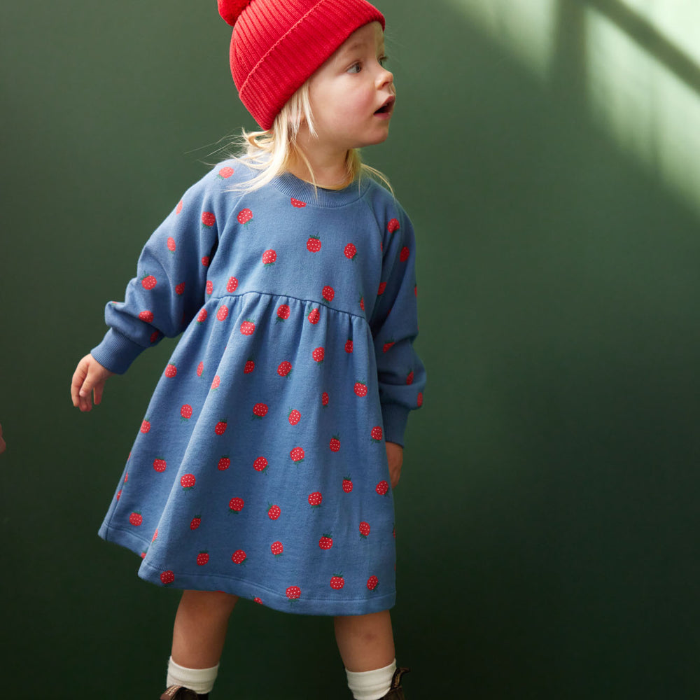 NATURE BABY - INES DRESS: RASPBERRY BLUE PRINT [sz:6-12 MTHS]