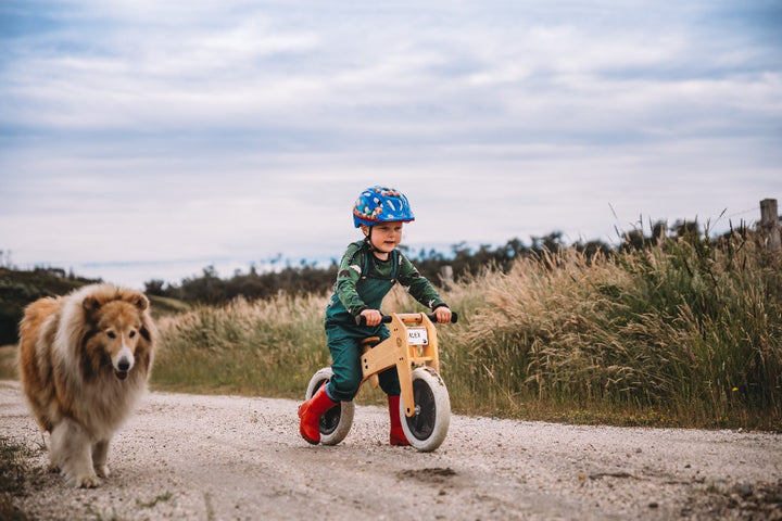 WISHBONE DESIGN - 2 IN 1 BALANCE BIKE 