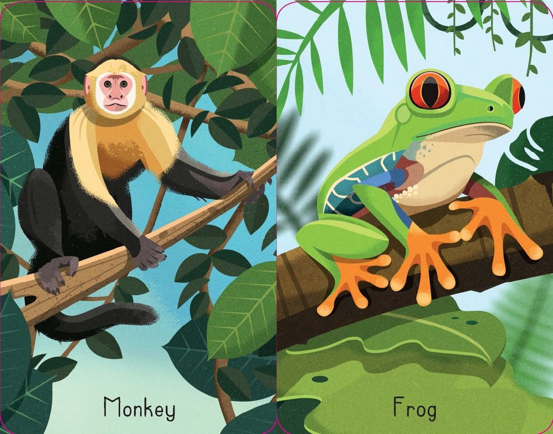 USBORNE - SNAP CARDS: JUNGLE