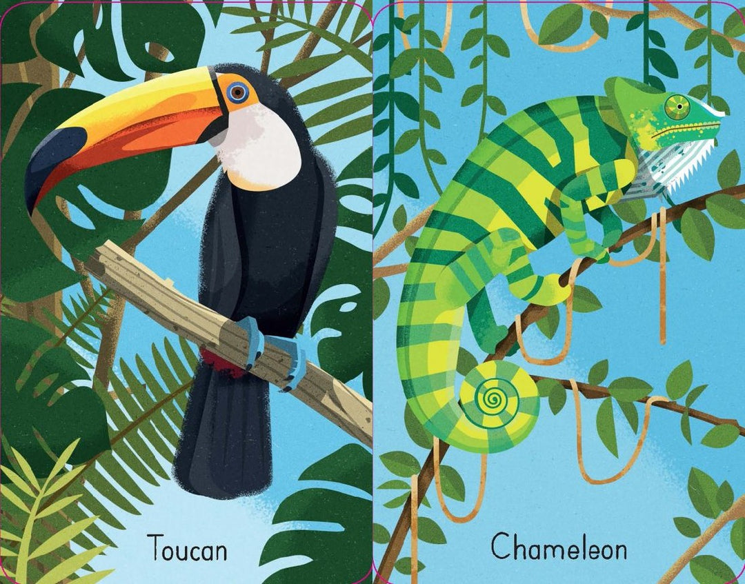 USBORNE - SNAP CARDS: JUNGLE