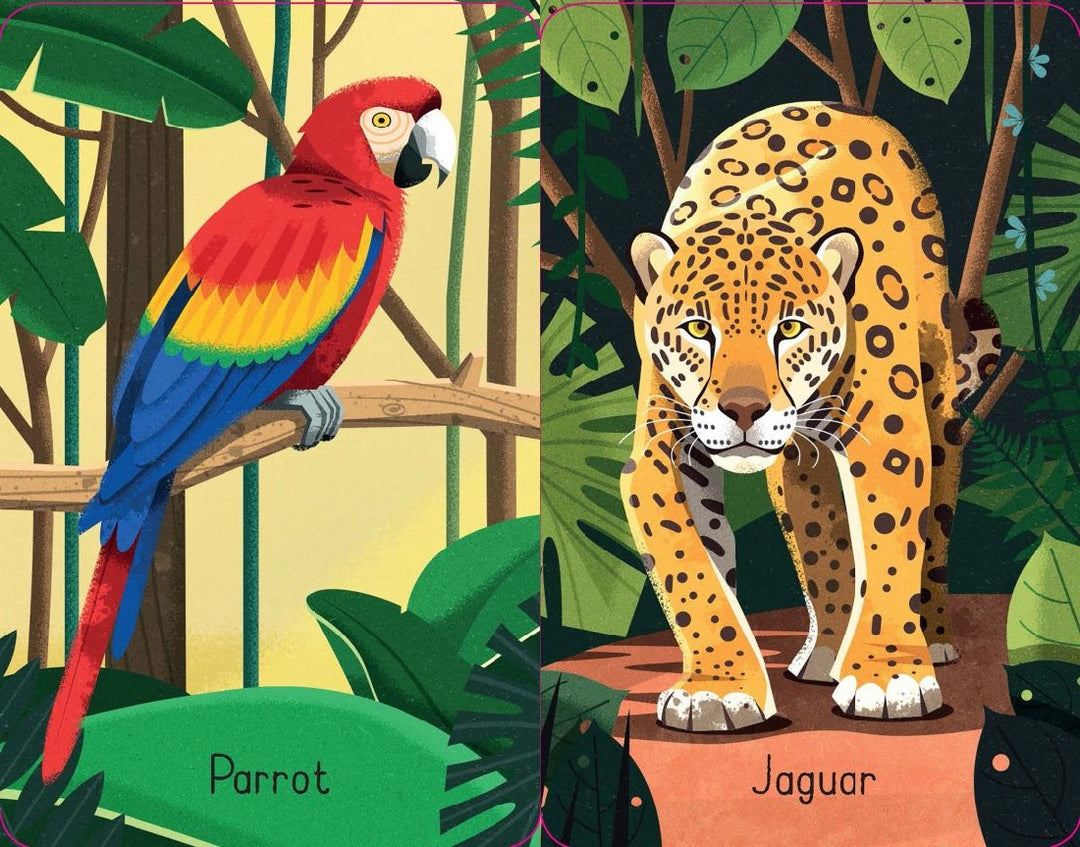 USBORNE - SNAP CARDS: JUNGLE